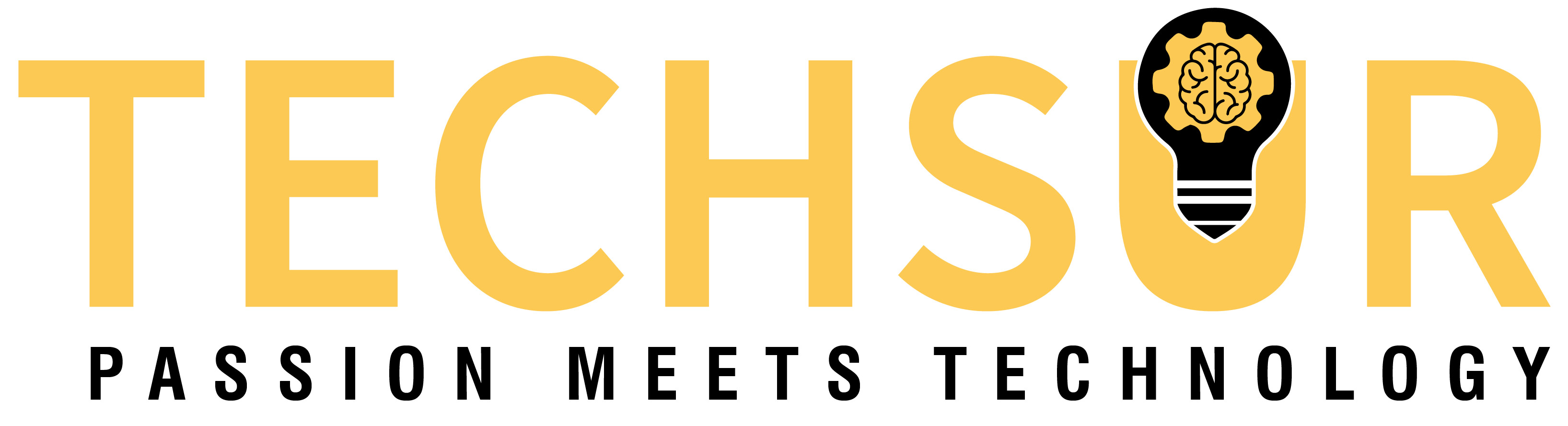 TechSur Solutions